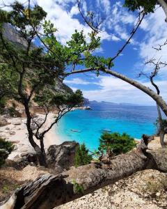 a view of the ocean from a hill with trees at Stella marina 2 da Alessandro in La Caletta