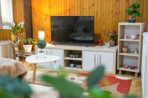 - un salon avec une télévision dans un centre de divertissement dans l'établissement Apartman Joso, à Sukošan