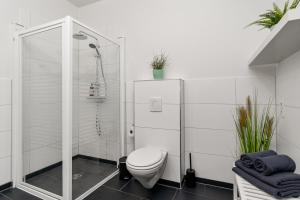 y baño blanco con aseo y ducha. en City-Apartment direkt in den Parkanlagen en Bremen