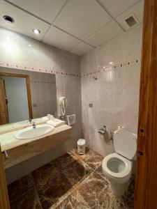 bagno con servizi igienici, lavandino e specchio di Hostal Rosaleda a Alcalá de Chivert