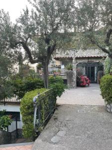 Gallery image of Colle Uliveto in Vico Equense
