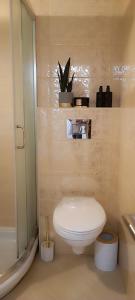 Koupelna v ubytování Yasmin Apartment (Pozega in Serbia)