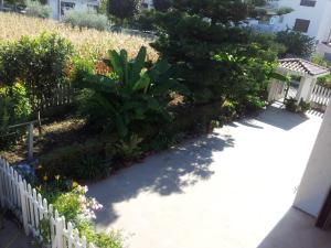 
a garden area with plants and a fence at B&B La Casa di Angelica in Roseto degli Abruzzi
