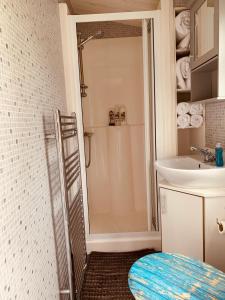 94 Newquay Bay Resort pet friendly في نيوكواي: حمام مع دش ومغسلة