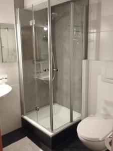 a glass shower in a bathroom with a toilet at Haus Pollak in Waldkirchen