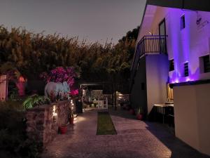 a courtyard of a house with purple lights at Hostal 170 Room 15 Service Appartement in Le Tampon