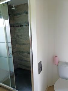 La salle de bains est pourvue d'une douche en verre et de toilettes. dans l'établissement Appartement de 2 chambres avec terrasse amenagee et wifi a Arnage, à Arnage