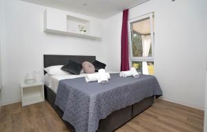 ein Schlafzimmer mit einem Bett mit zwei Kissen darauf in der Unterkunft Cozy Home In Sveti Filip I Jakov With Wifi in Sveti Filip i Jakov