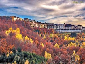 Phong cảnh thiên nhiên gần căn hộ