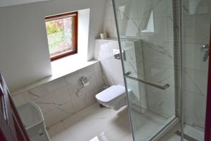 a bathroom with a toilet and a glass shower at Zámocká koruna u Hoffera in Nitra