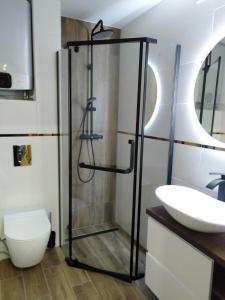 a bathroom with a shower and a sink at Apartament Bel Posto in Sanok