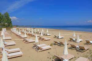 a bunch of lounge chairs and umbrellas on a beach at Cavomarina Beach- Adults Only in Kavos