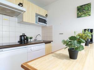 Kuchyňa alebo kuchynka v ubytovaní Appartement 8 personnes avec balcon sud, navette télécabine à proximité, Saint-Lary-Soulan - FR-1-296-388