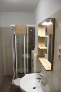 ein Badezimmer mit einem Waschbecken, einem WC und einem Spiegel in der Unterkunft Groppenstein Apartmanház in Obervellach