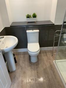 a bathroom with a toilet and a sink at Beachside - North Berwick in North Berwick