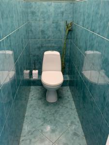 uma casa de banho com um WC numa parede de azulejos verdes em Ludmila guest house - гостевой дом "Людмила" em Odessa