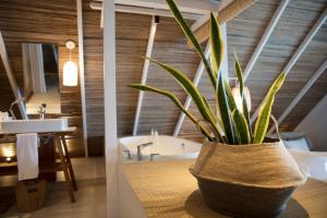 Fotografie z fotogalerie ubytování Preskil Island Resort v destinaci Blue Bay