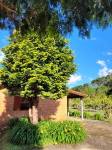 uma árvore em frente a um edifício de tijolos em Recanto da Natureza, chalé em Gonçalves
