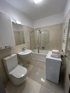 布拉索夫Coroni studio with jacuzzi的带马桶、水槽和浴缸的浴室 更多11张照片