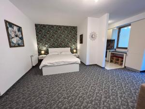 布拉索夫Coroni studio with jacuzzi的房间里有一张床和一张书桌的卧室