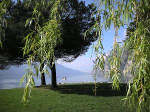 Paesaggio naturale nelle vicinanze dell'hotel