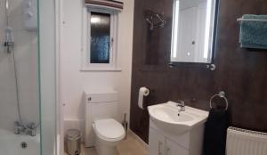 a bathroom with a toilet and a sink and a mirror at Gynack Villa in Kingussie