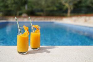 Gallery image of Stone Lady Holiday home with pool&hot tub,sauna,bbq,garden in Rasopasno