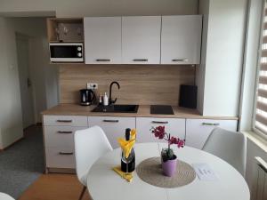 Kuchyň nebo kuchyňský kout v ubytování Apartman centrum v súkromí Reštaurácia U Jakuba