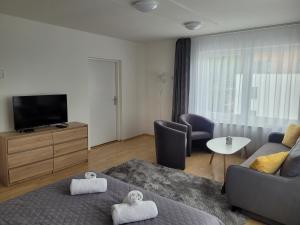 a living room with a couch and a tv at Apartman centrum v súkromí in Martin