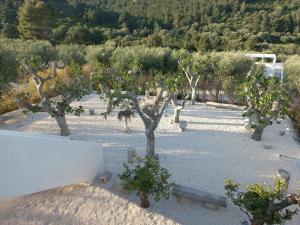 a group of trees in a field with a van at HMO Glamping & Suites in Vignanotica in Mattinata