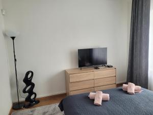 TV a/nebo společenská místnost v ubytování Apartman centrum v súkromí Reštaurácia U Jakuba