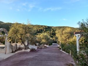 a road with trees and a mountain in the background at HMO Glamping & Suites in Vignanotica in Mattinata