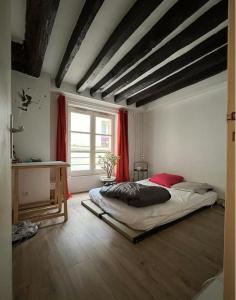 een slaapkamer met een bed en een groot raam bij Chambres privées dans grand T4-Paris plein-centre in Parijs