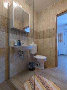 a bathroom with a toilet and a sink and a shower at Fazekas Vendégház in Balatonkeresztúr