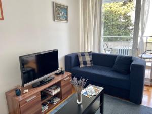 sala de estar con sofá azul y TV en Apartment Toni en Ičići