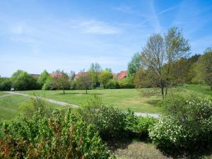 a field of grass with trees and bushes at Feriendorf Rugana - Klassik Appartement mit 1 Schlafzimmer A54 in Dranske