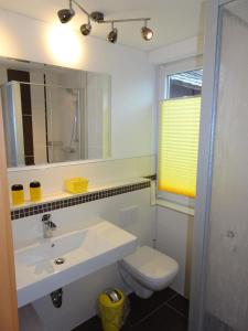 La salle de bains est pourvue d'un lavabo, de toilettes et d'un miroir. dans l'établissement Gasthaus Kobär, à Kurort Altenberg