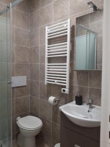 a bathroom with a toilet and a sink and a mirror at Bed&breakfast BBqueen Sandonato Policlinico in San Donato Milanese