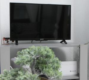 a flat screen tv sitting on a shelf with a plant at Olia Garden in Pachis