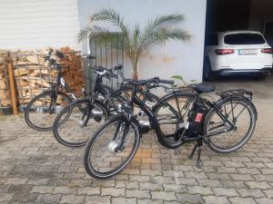 Attività di ciclismo presso la locanda o nelle vicinanze