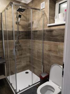 a shower stall in a bathroom with a toilet at VILLA MEGER in Veľký Meder