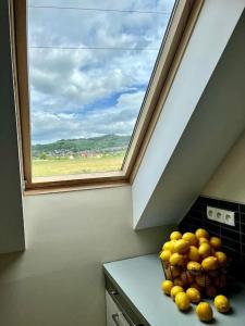 un bol d'oranges sur un comptoir à côté d'une fenêtre dans l'établissement Apartament Hemingwaya, à Jelenia Góra