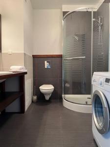 La salle de bains est pourvue de toilettes et d'un lave-linge. dans l'établissement Apartament Hemingwaya, à Jelenia Góra