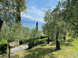 a garden with trees and the ocean in the background at Villa Gianna in Limone sul Garda