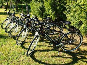 una fila de bicicletas estacionadas en el césped en Biebrza 24, en Sztabin