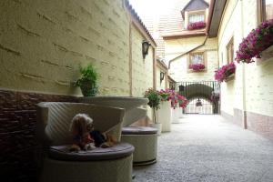 a little girl sitting on a bench in the middle of a room at Hotel Claudiu in Sighişoara