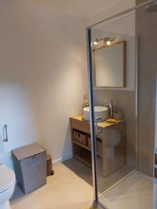 a bathroom with a toilet and a sink and a mirror at Les Côteaux de la Grange in Mercuer