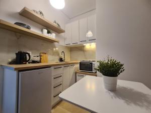 een keuken met witte kasten en een plant op een toonbank bij Apartment in the heart of the city 5A in Larisa