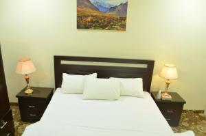 Gallery image of Hotel Astro in Gilgit