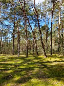 Príroda v okolí apartmánu